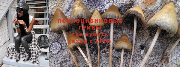 шишки Кинешма
