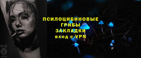 apvp Карпинск
