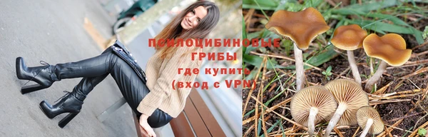 PSILOCYBIN Касимов