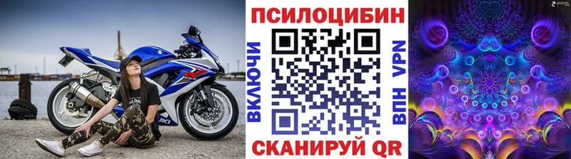 Купить закладки  Кумертау  Псилоцибиновые грибы ЛСД 